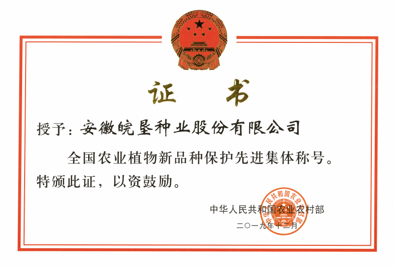 榮譽(yù)證書