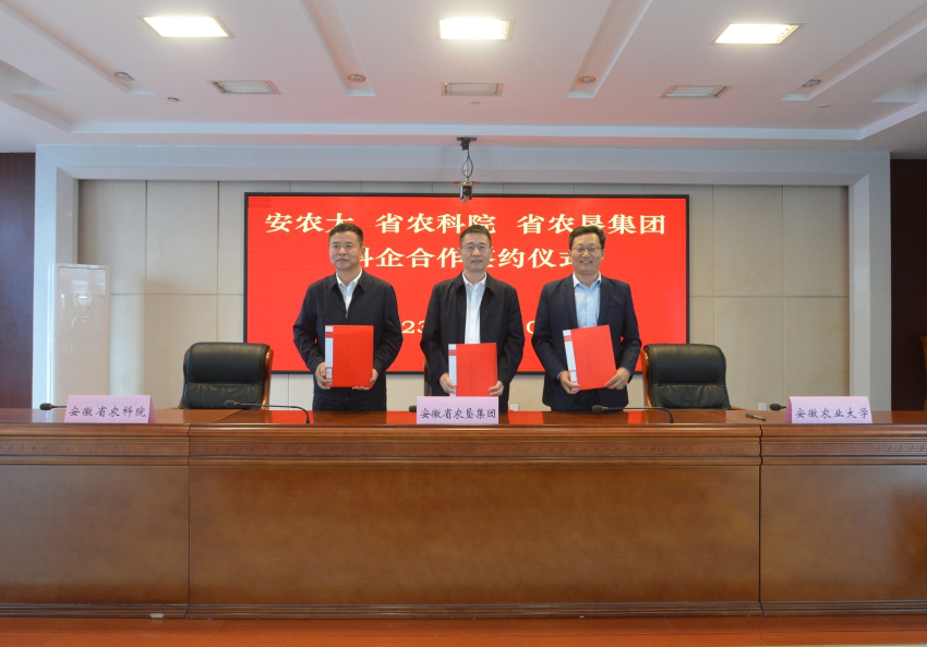 安徽省農(nóng)墾集團與安徽農(nóng)業(yè)大學(xué)、安徽省農(nóng)科院簽署戰(zhàn)略合作協(xié)議