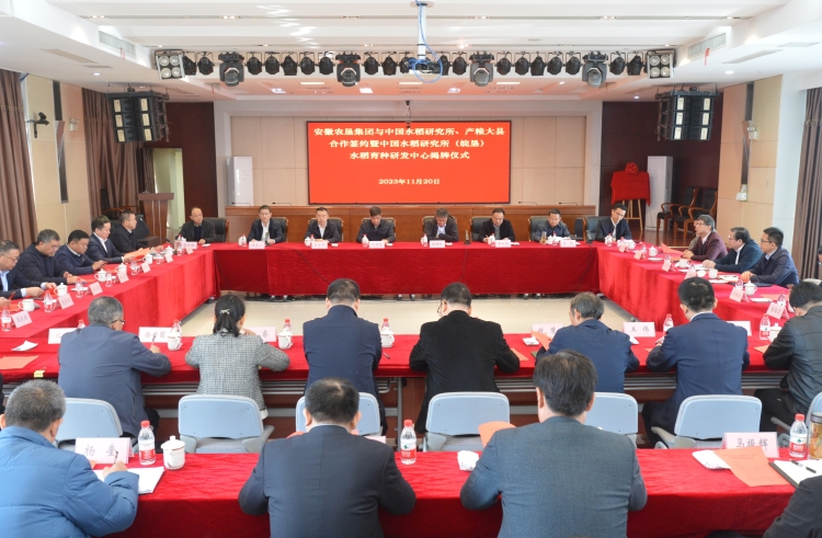 安徽省農(nóng)墾集團與中國水稻研究所、產(chǎn)糧大縣合作簽約暨中國水稻研究所（皖墾）水稻育種研發(fā)中心揭牌儀式成功舉行